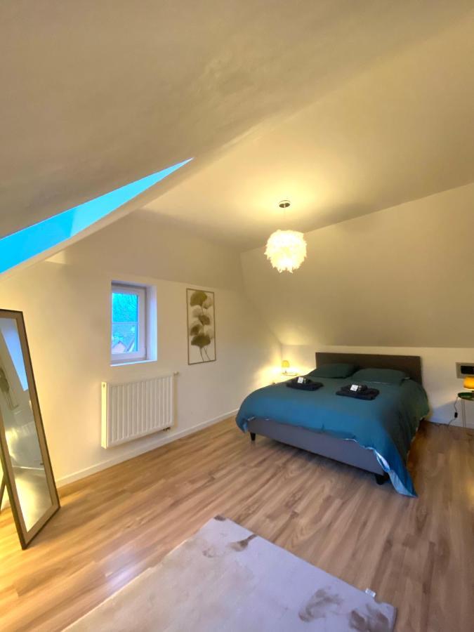 Duplex Moderne A 10 Minutes De Colmar Apartment วินเซินไฮม์ ภายนอก รูปภาพ